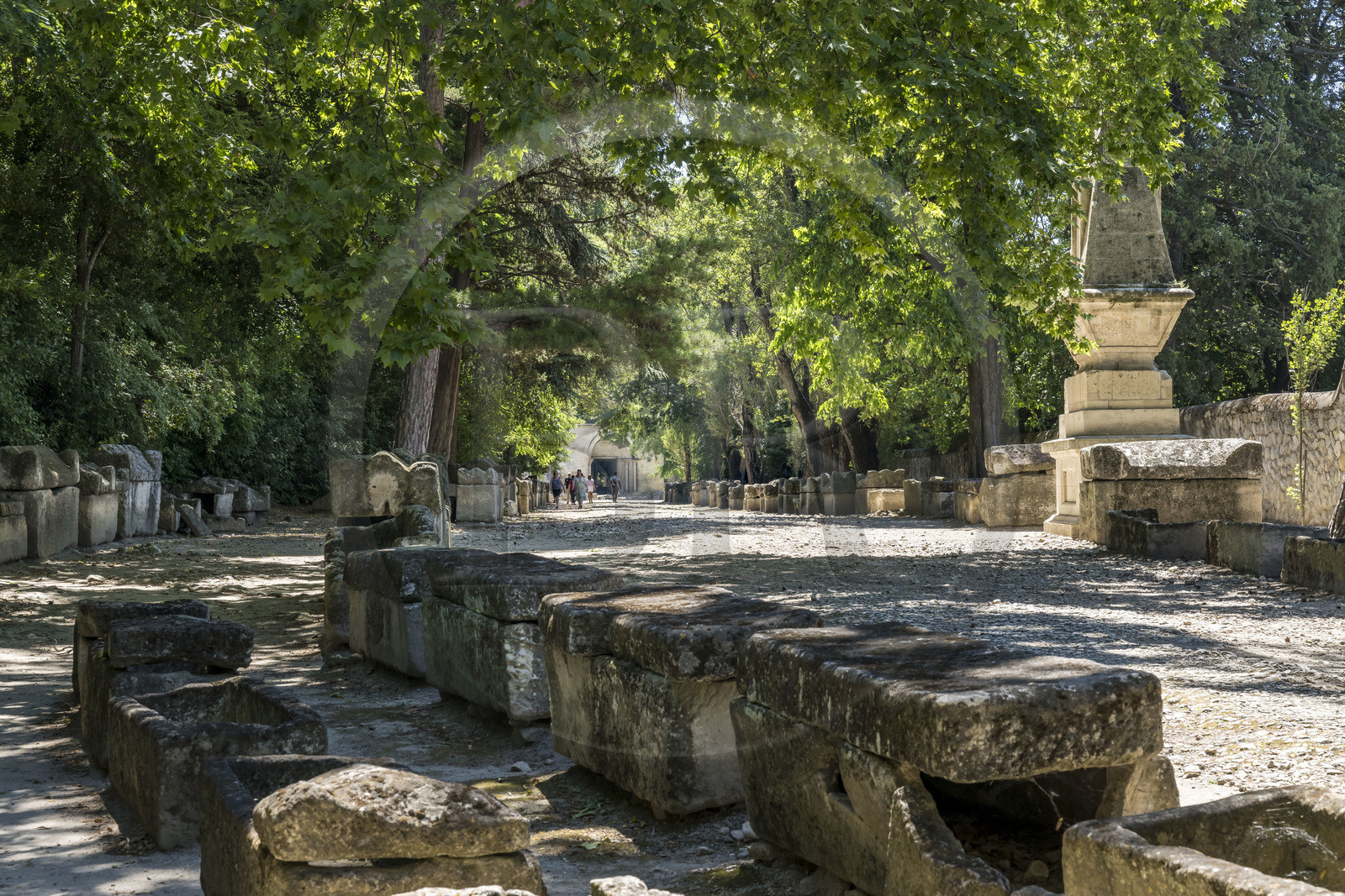 France, Bouches du Rhone, Arles, the Alyscamps, listed as World heritage by UNESCO, a pagan then Christian necropolis from the Roman era to the Middle Ages, comprising numerous sarcophagi