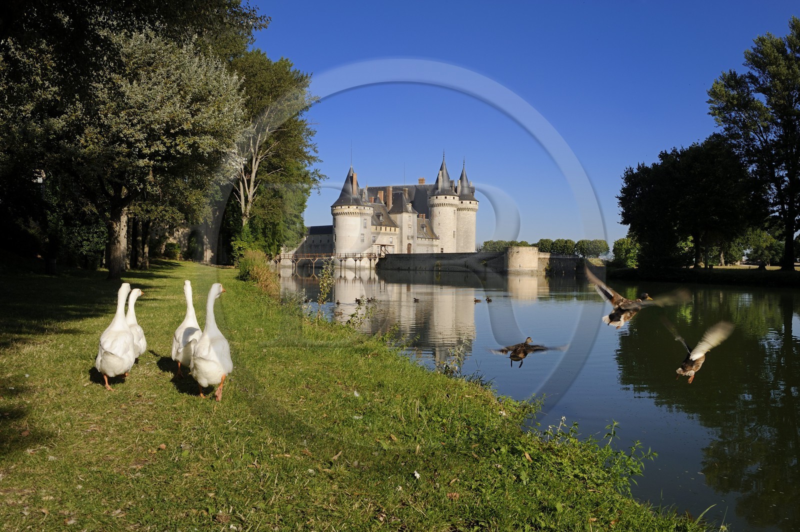 France, Loiret, Loire Valley listed as World Heritage by UNESCO, Sully sur Loire, Chateau de Sully sur Loire, compulsory mention : Chateaux de Sully sur Loire, property of the Loiret Departement