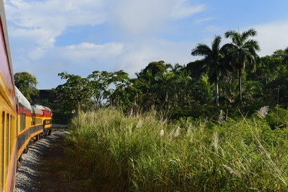 Panama, Panama Canal Railway, ligne de train historique qui relie la ville de Panama et Colon en longeant le canal de Panama et traversant l'isthme