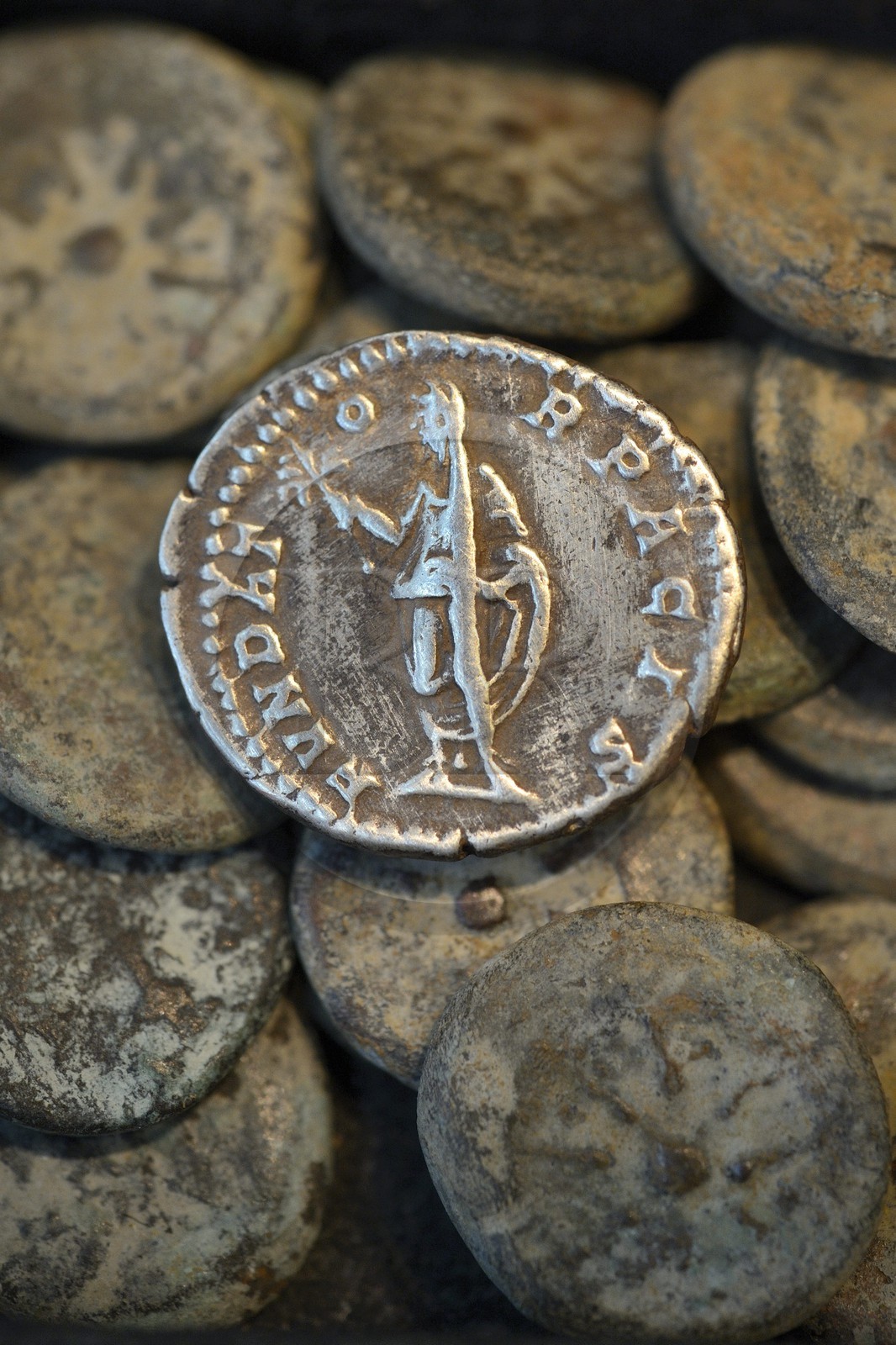 Israel, Jérusalem, ville sainte, vieille-ville classée Patrimoine Mondial de l'UNESCO, denier, pièce de monnaie de l'époque romaine frappée au nom de l'empereur Lucius Septimius Severus (193-211)