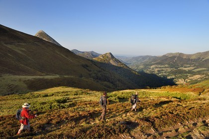France, Cantal (15), Parc Naturel Régional des Volcans d'Auvergne, Le Lioran, col de Rombière surplombant la vallée de la Jordanne, randonneurs sur le chemin de Saint-Jacques de Compostelle par la Via Arverna, en arrière plan le Puy Griou émergeant à gauche et le Griounou à sa droite