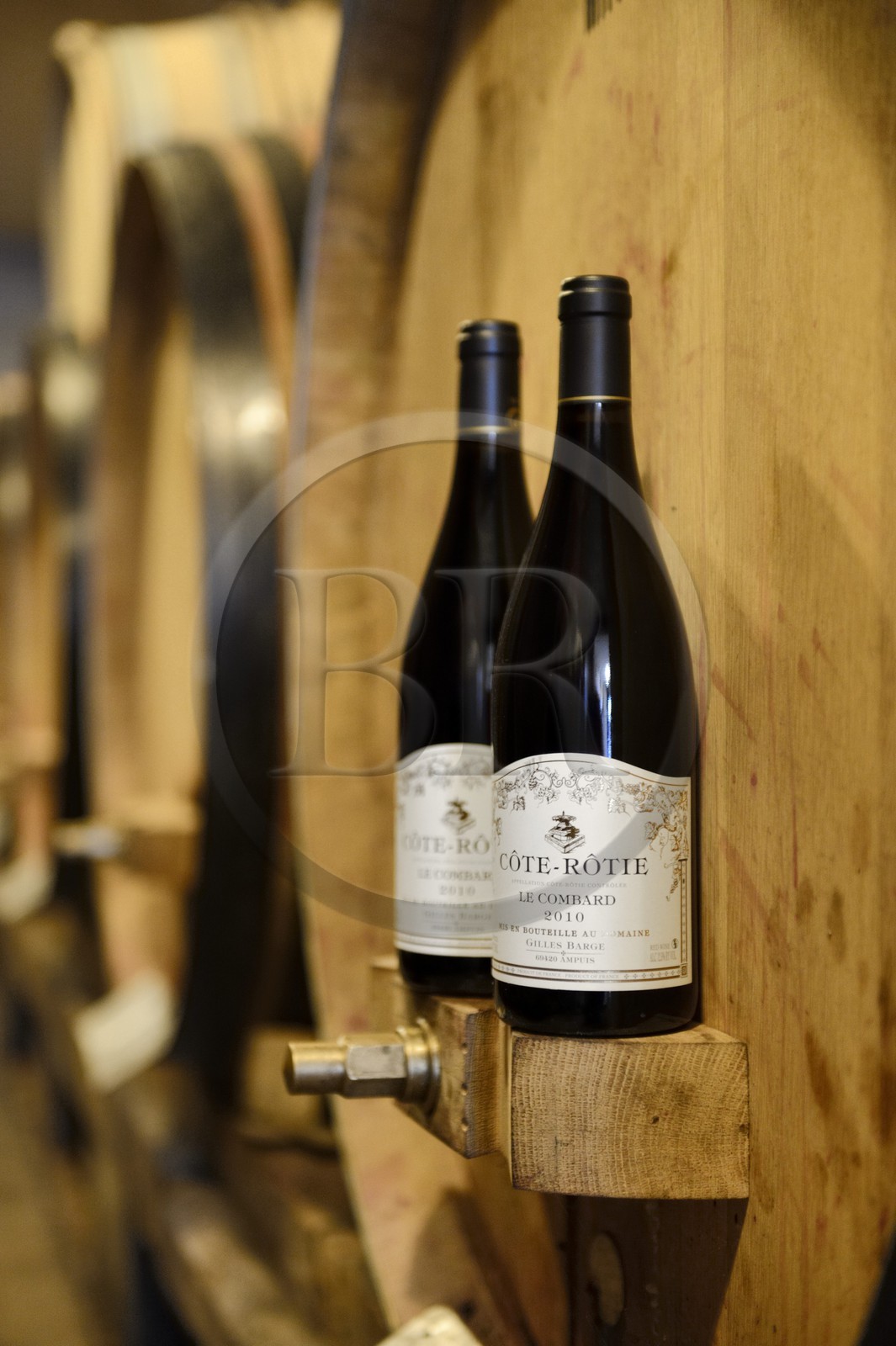 France, Rhône (69), Parc Naturel Régional du Pilat, Ampuis, vignoble AOC Côte Rôtie, bouteille de Côte-Rôtie dans la cave du domaine de Gilles Barge