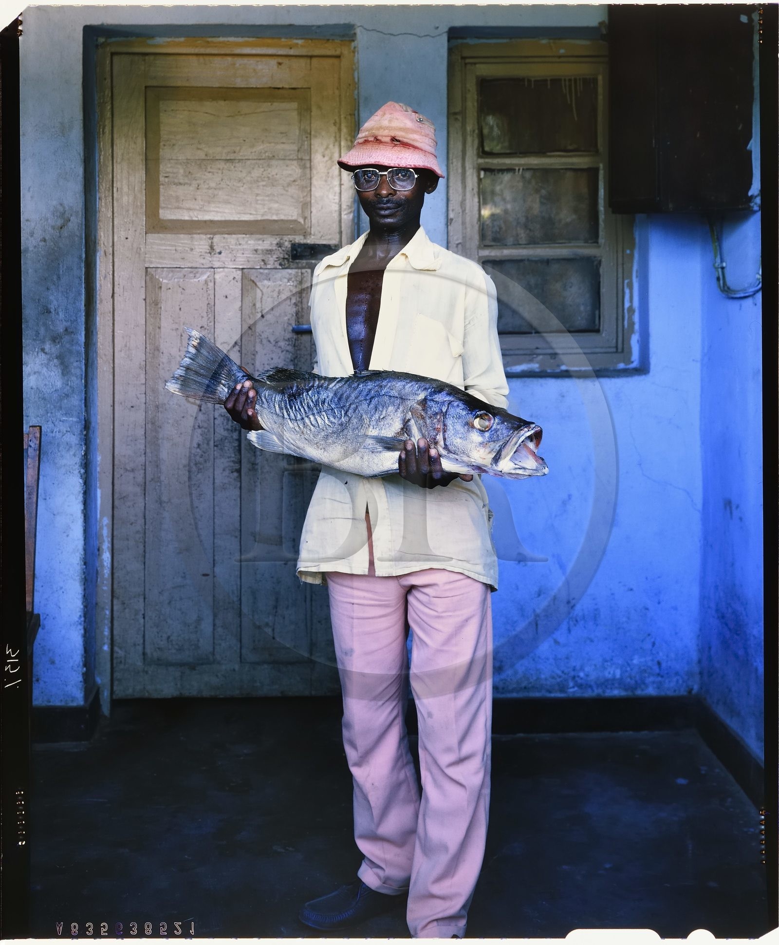 Burundi, province de Rumonge, jeune pêcheur Hutu qui présente un capitaine probable perche du Nil (Lates niloticus) (reproduction plan-film inversible 4x5)