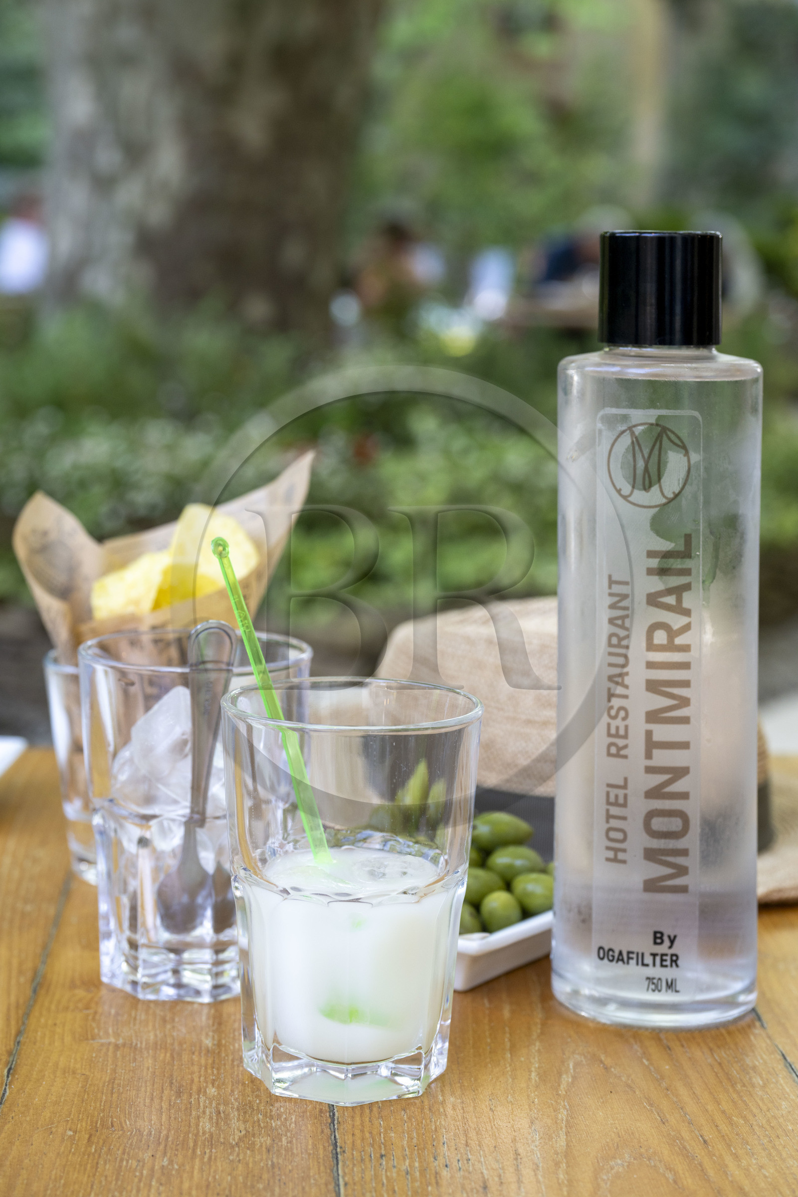 France, Vaucluse (84), Dentelles de Montmirail, Gigondas, grand hôtel-restaurant de Montmirail, pastis Henri Bardouin issu d'un assemblage de plus de 65 plantes et épices