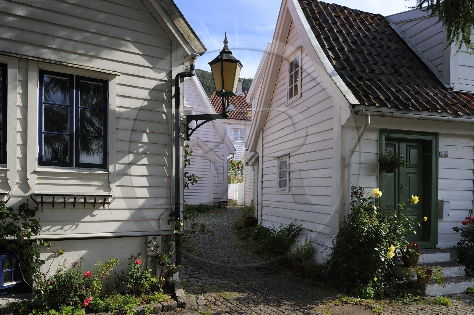 Norvège, Hordaland, Bergen, maisons en bois du quartier de Rosegren