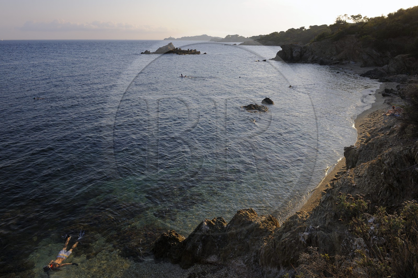 France, Var (83), presqu'île de Giens, la côte vers la Tour Fondue, plongée en apnée
