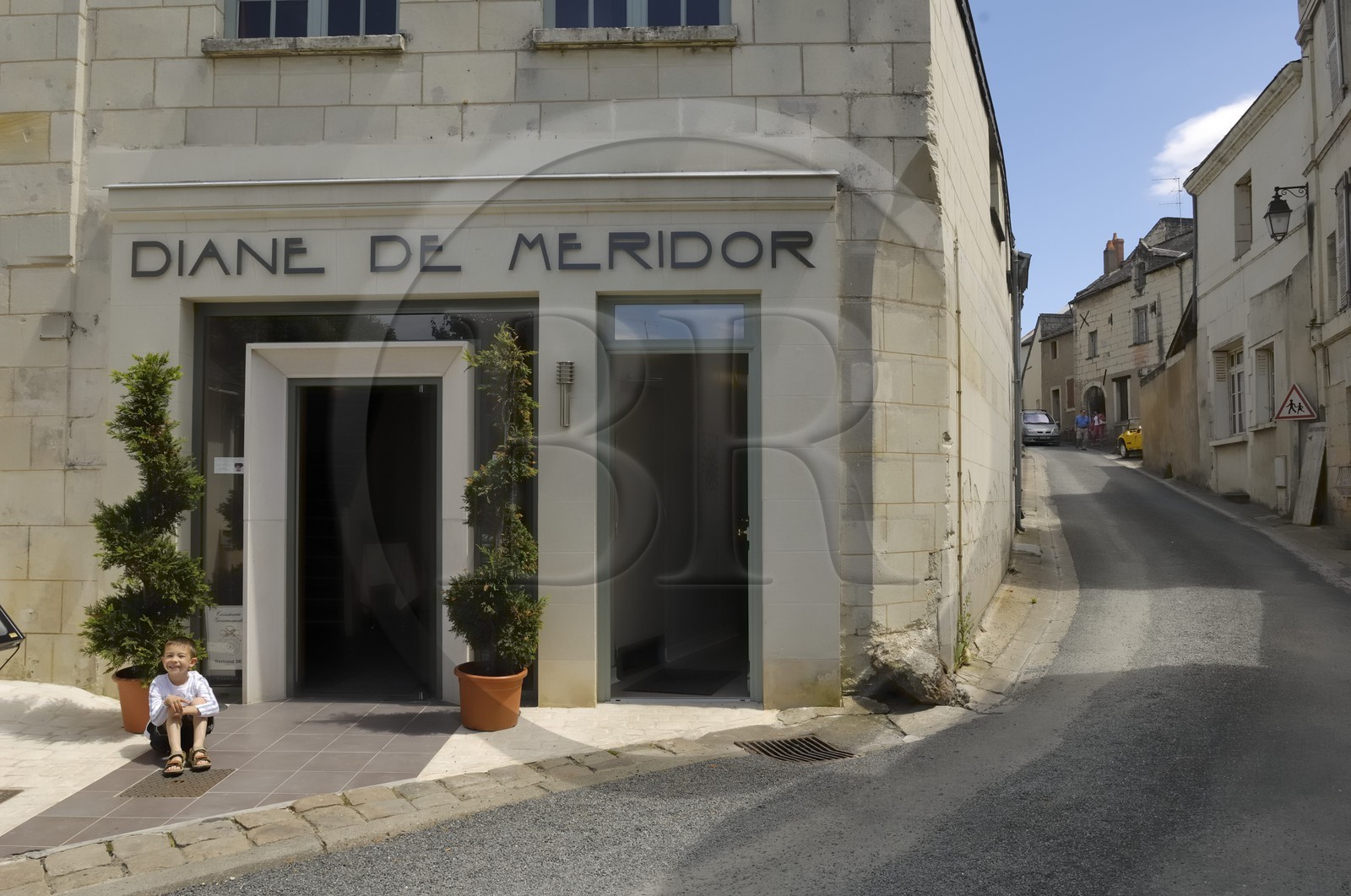 France, Maine et Loire (49), Montsoreau, restaurant Diane de Méridor