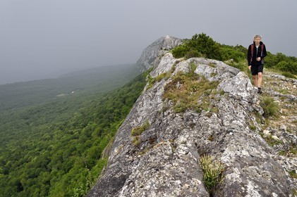 France, Var (83), Plan-d'Aups-Sainte-Baume, parc naturel régional de la Sainte-Baume, Massif de la Sainte-Baume, randonneur sur le GR 98 au sommet de la falaise dominant la forêt relique et la chapelle du Saint-Pilon en arrière plan