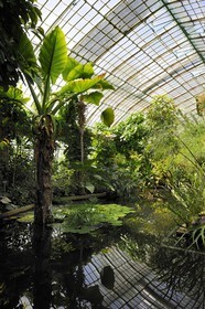 France, Paris (75),  Jardin des Serres d'Auteuil, la grande serre