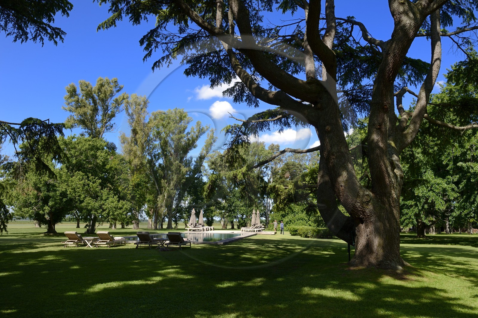 Argentine, province de Buenos Aires, San Antonio de Areco, estancia La Bamba de Areco, la piscine