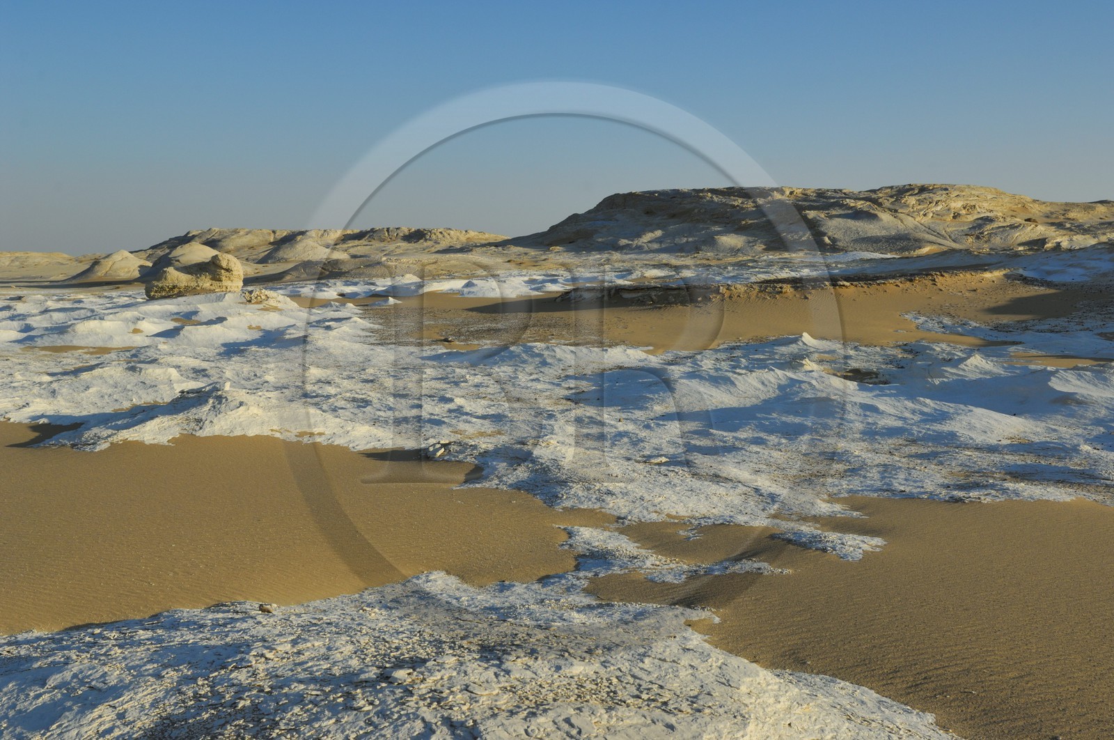 Egypte, désert libyque, le Désert Blanc au nord de Farafra