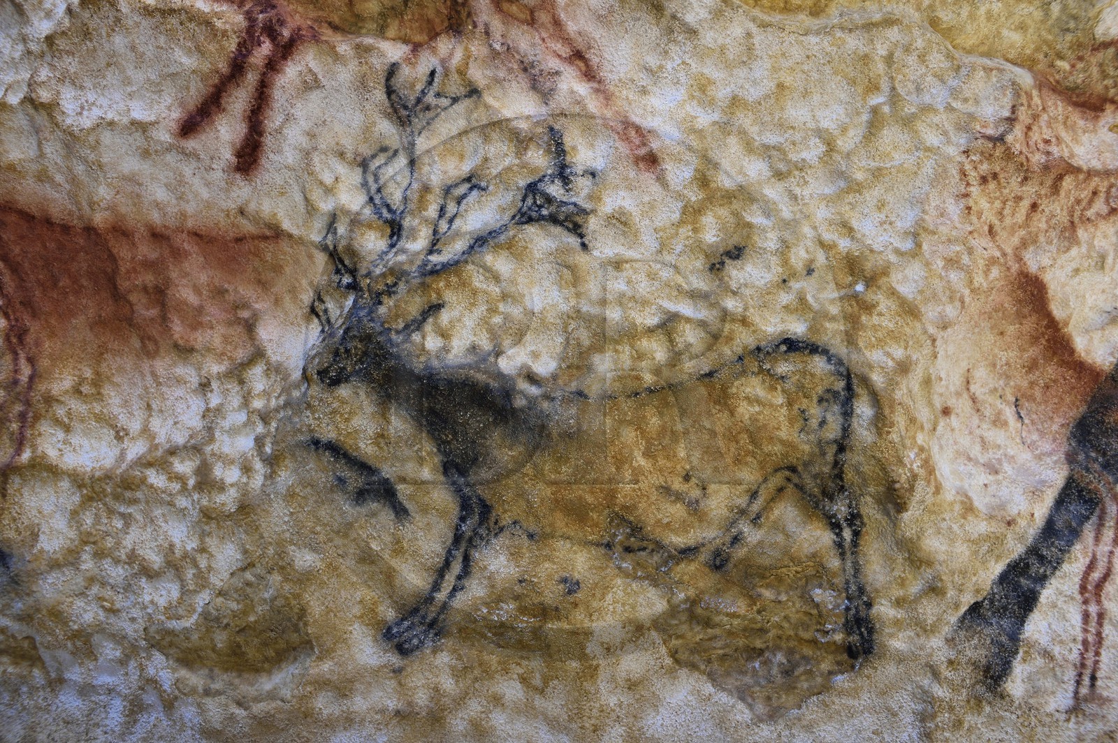France, Dordogne, Montignac, the Atelier des Fac-Similés du Périgord (Perigord's Facsimile Workshop AFSP) specialised in mineral reproduction of prehistoric painted walls using “stone veil” patented technique and in charge of the Lascaux cave’s walls faithfull reconstitution, deer, compulsory mention Atelier des Fac-Similés du Perigord