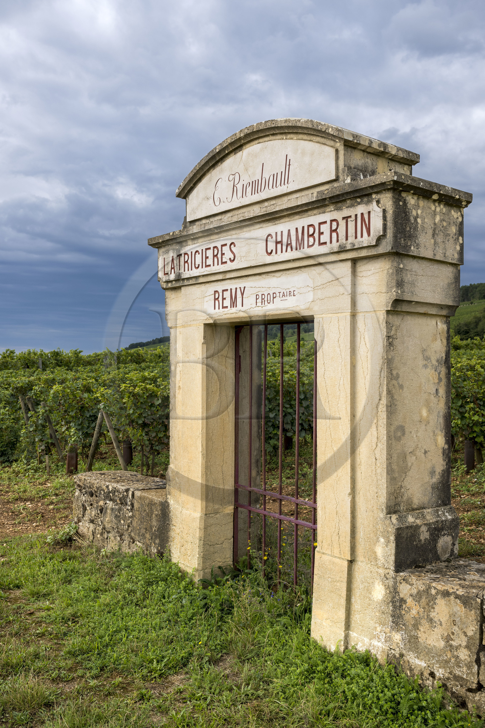 France, Cote d'Or, cultural Landscape of the climates of Burgundy listed as World Heritage by UNESCO, Route des Grands Crus (road of Vintage Wines), vineyard of the Côte de Nuits, Gevrey Chambertin, gate of a plot
