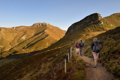 France, Cantal (15), Parc Naturel Régional des Volcans d'Auvergne, Le Lioran, col de Rombière, randonneurs sur le chemin de Saint-Jacques de Compostelle par la Via Arverna, le puy de Peyre Arse à gauche puis le col de Cabre et le Puy Bataillouse à droite en arrière plan
