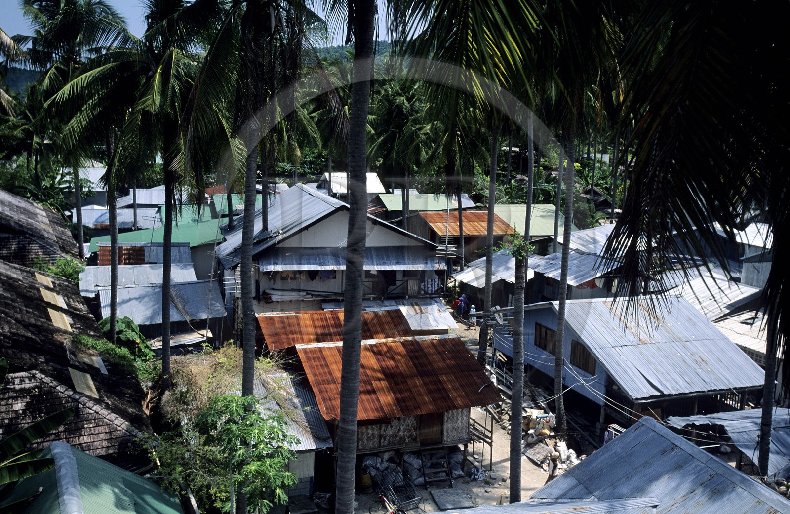 Thaïlande, Archipel de Ko Phi Phi, île de Phi Phi Don, village de Ton Sai Bay