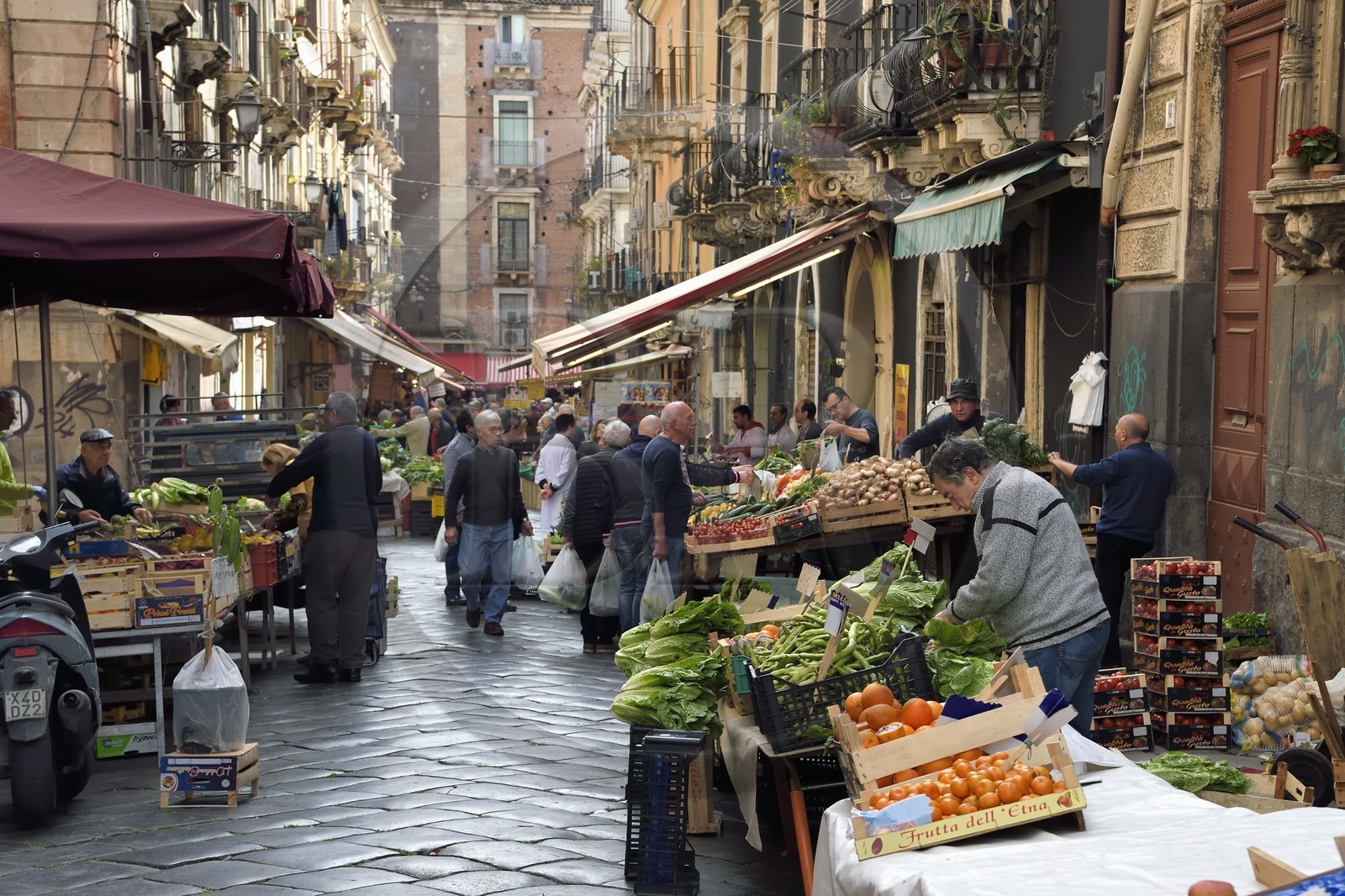 Italie, Sicile, Catane, ville baroque classée au Patrimoine Mondial de l'UNESCO, le marché aux fruits et légumes dans le quartier du Duomo via Gisira