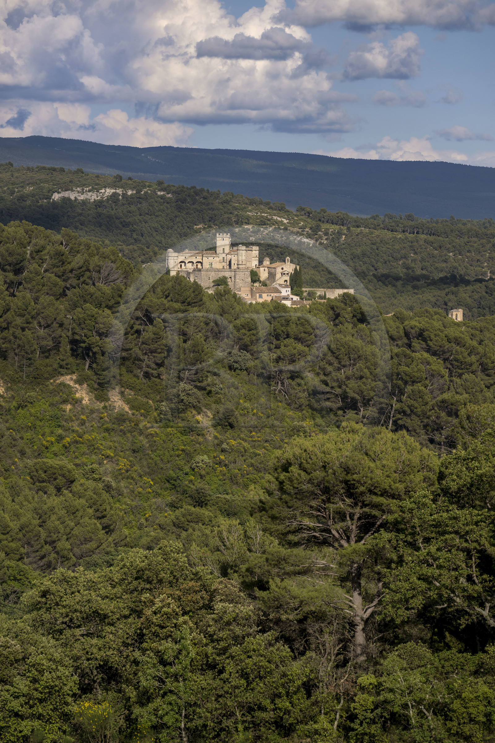 France, Vaucluse (84), Dentelles de Montmirail, Le Barroux, le chateau du Barroux émergeant de la forêt