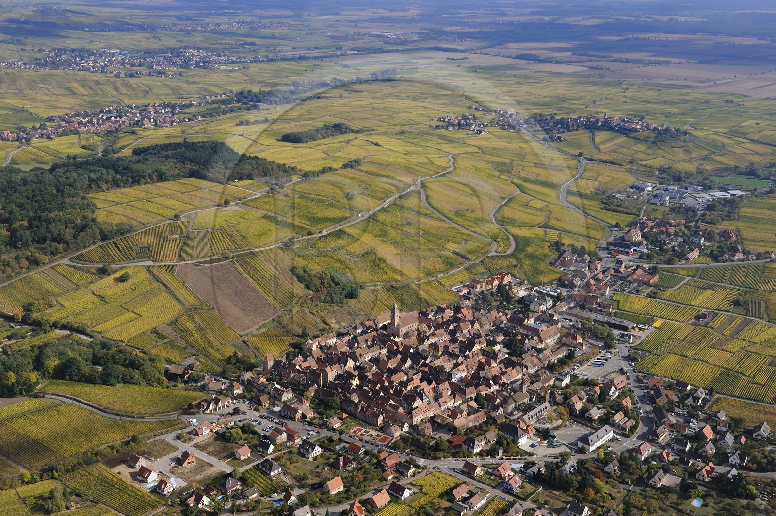 France, Haut-Rhin (68), Riquewihr et son vignoble (photo aérienne)