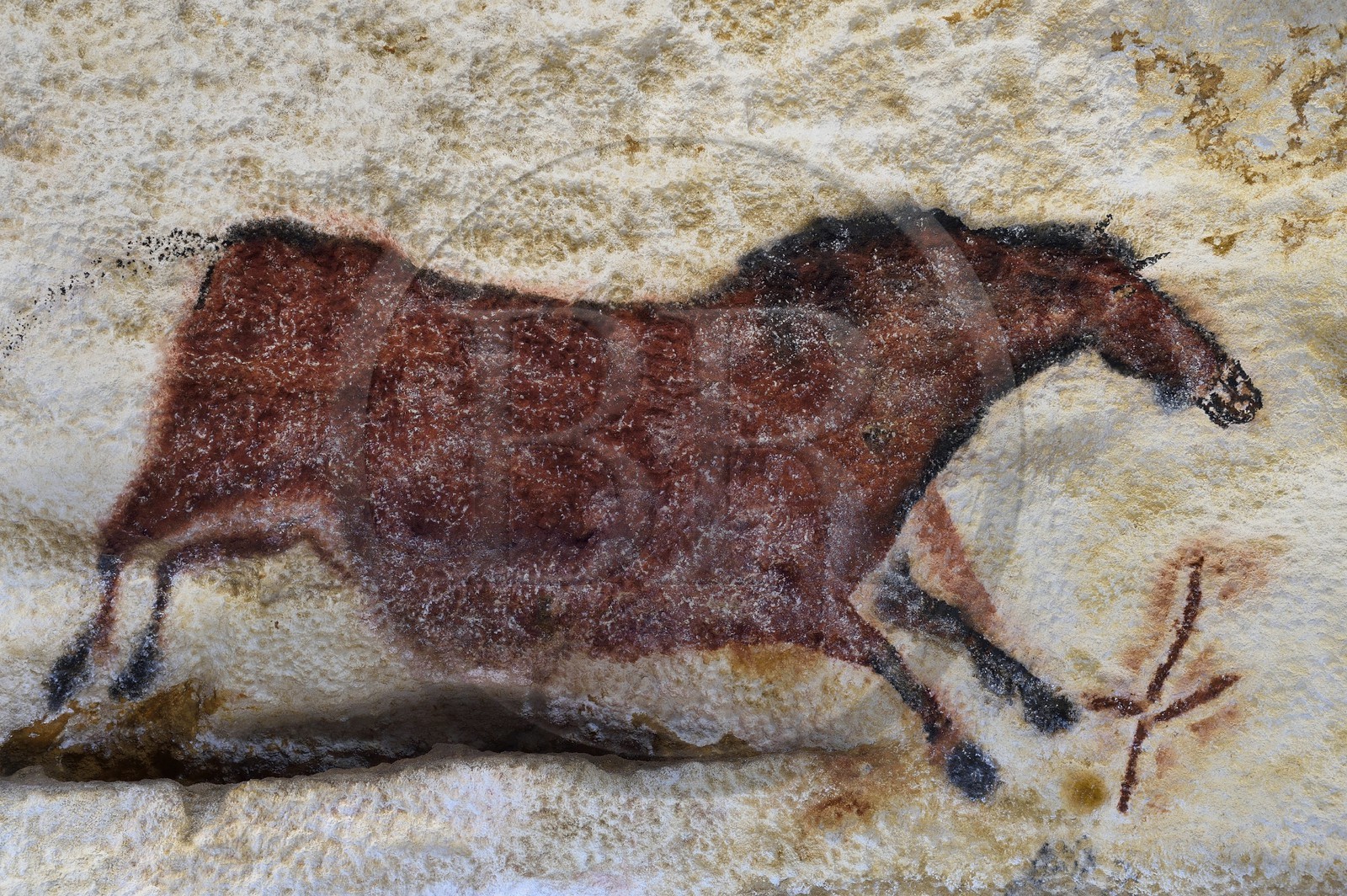 France, Dordogne (24), Montignac, l’Atelier des Fac-Similés du Périgord (AFSP) spécialisé dans la reproduction minérale de parois ornées de la préhistoire et en charge de la reconstitution fidèle des parois de la grotte de Lascaux, Cheval, mention obligatoire Atelier des Fac-Similés du Périgord