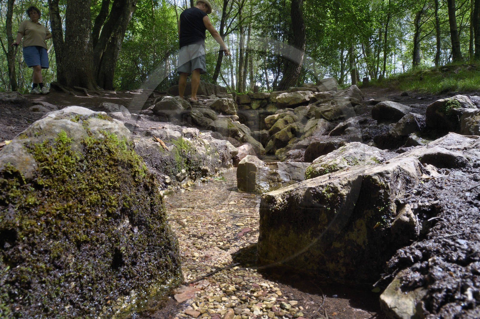 France, Ille-et-Vilaine (35), forêt de Brocéliande, la fontaine de Barenton