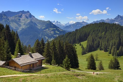 Suisse, canton de Vaud, Villars-sur-Ollon, randonneur au le Col de Soud