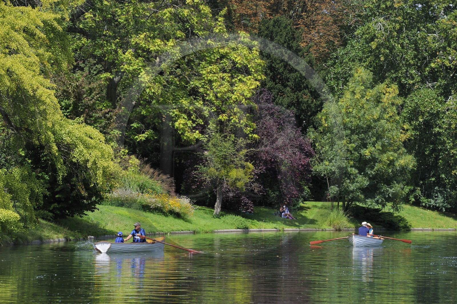 France, Paris (75), le Bois de Boulogne, promenade en barque autours des iles du Lac Inférieur
