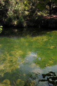 France, Var, Provence Verte, Tourves, the Caramy river in the Caramy Gorge