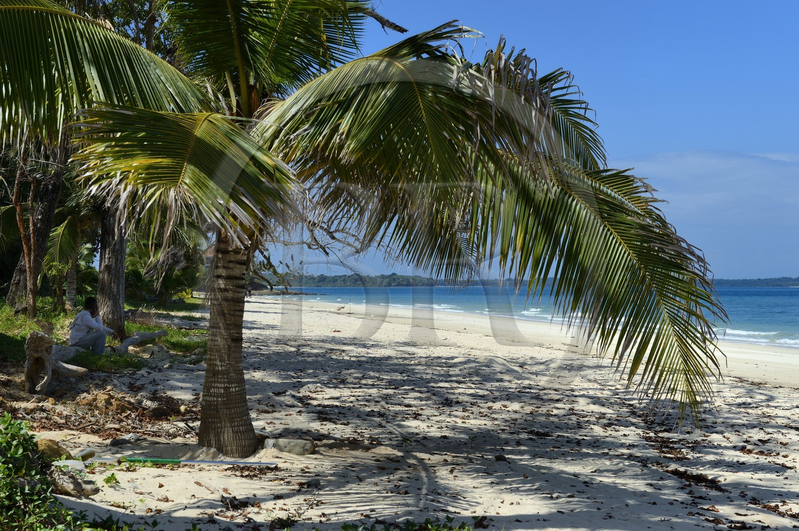 Panama, Pearl Islands, Isla Viveros, white sand beach