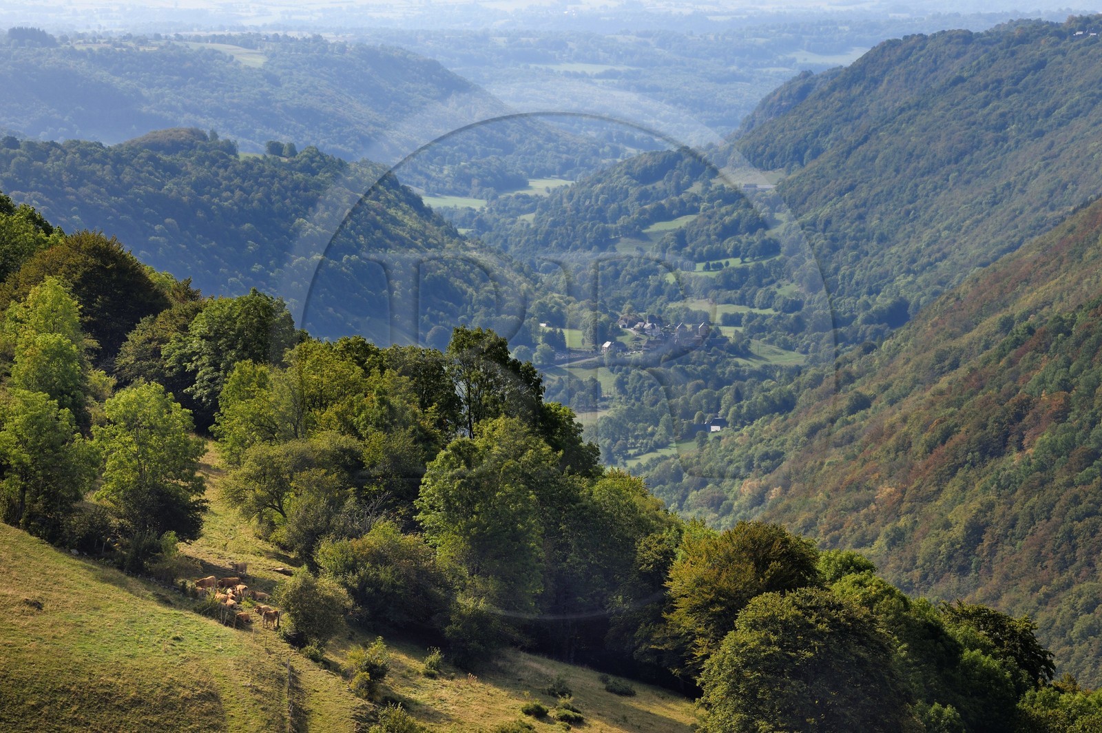 France, Cantal (15), Parc Naturel Régional des Volcans d’Auvergne, la vallée et le village de Brezons vus depuis les estives en altitude