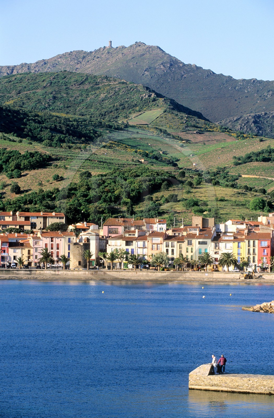 France, Pyrenees Orientales, Collioure and its beach dominated by Madeloc tower