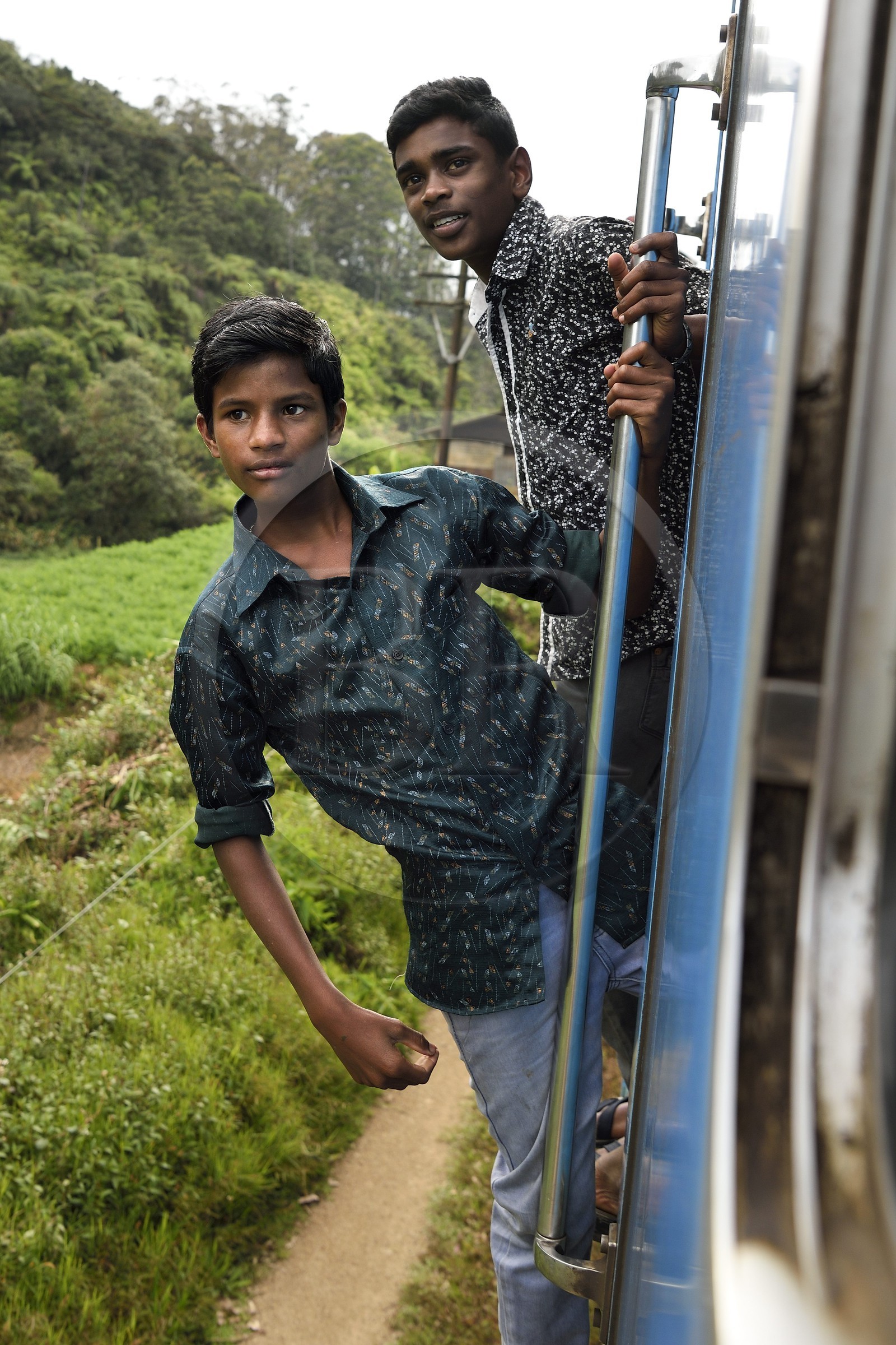Sri Lanka, Province d'Uva, trajet en train dans la région montagneuse de la culture du thé entre Hatton et Ella, jeunes passagers accrochés à l'extérieur de la portière du train en marche vers Ambewela