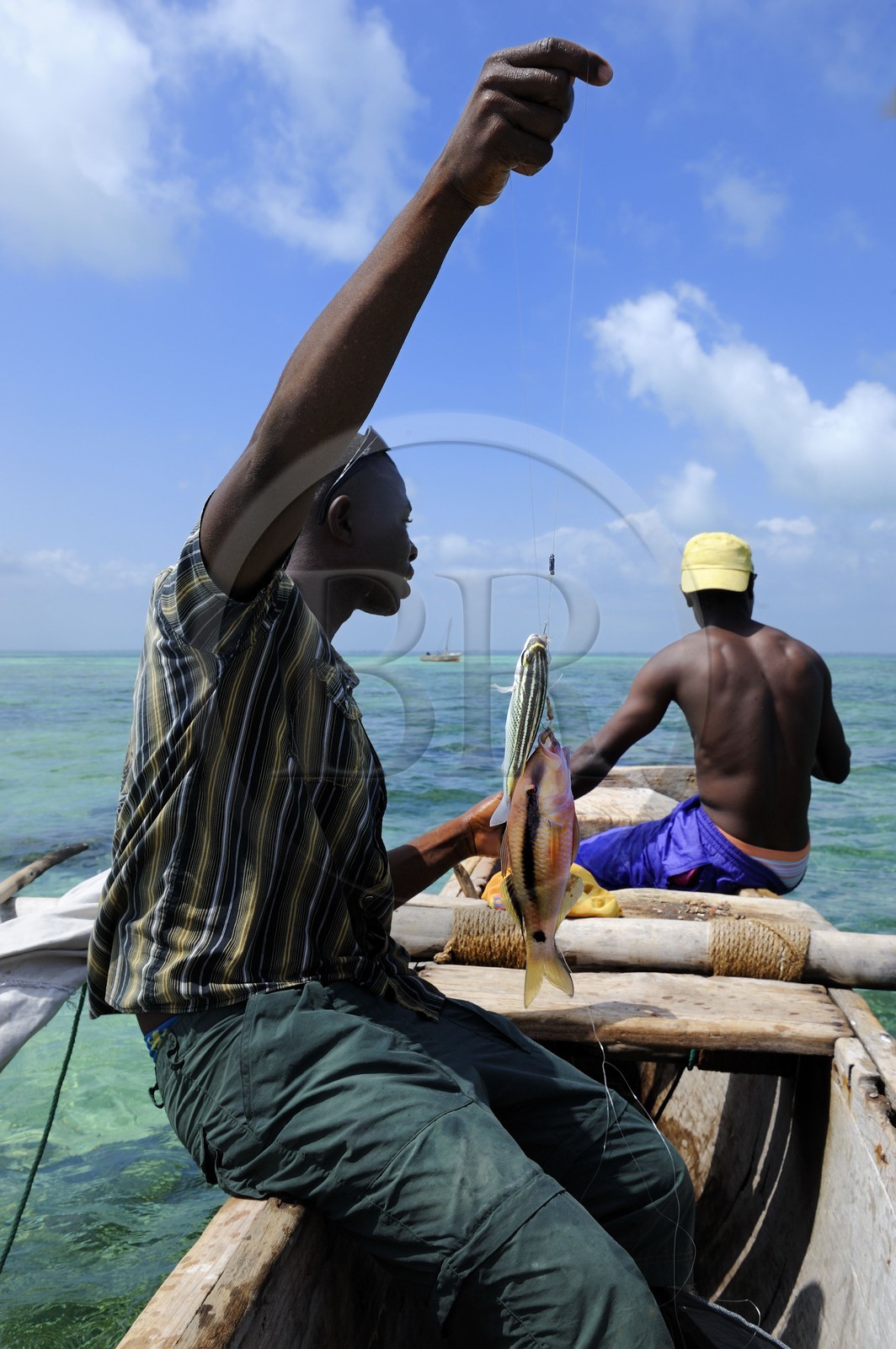 Tanzania, Zanzibar Archipelago, Unguja island (Zanzibar), east coast, Chwaka Bay around Michamvi, angling from a dhow (traditional Arab sailing vessel)