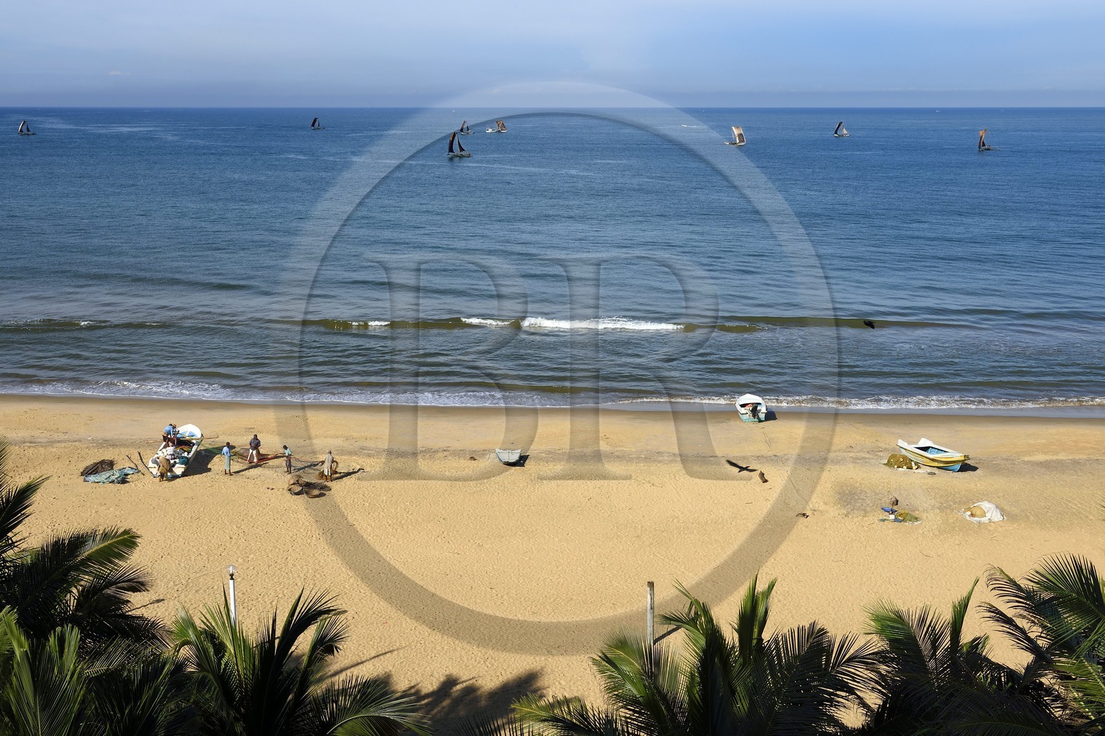 Sri Lanka, Province de l'Ouest, Negombo, peche traditionnelle sur des catamarans