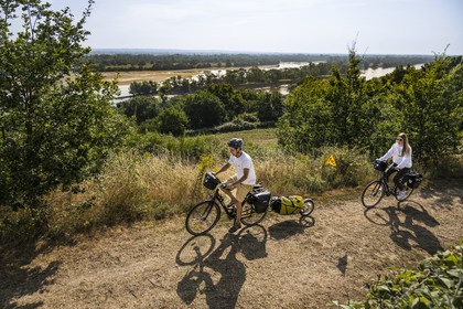 France, Maine-et-Loire, Loire valley listed as World Heritage by UNESCO, Saumur towards Saint-Hilaire, Camping Huttopia Saumur, cycling on the banks of the Loire, bike with a trailer carrying camping equipment