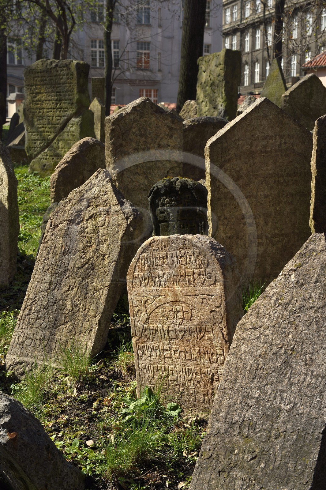 République Tchèque, Prague, centre historique classé Patrimoine Mondial de l'UNESCO, quartier juif de Josefov, cimetière juif