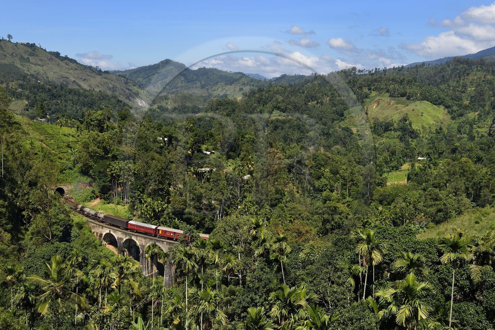 Sri Lanka, Province d'Uva, train sur la voie de chemin de fer dans la région montagneuse de la culture du thé entre Badulla et Ella, le Pont aux Neuf Arches (1921) non loin de Ella