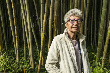 France, Gard, Generargues towards Anduze, Bambouseraie en Cévennes (Bamboo garden), President and Director Muriel Nègre