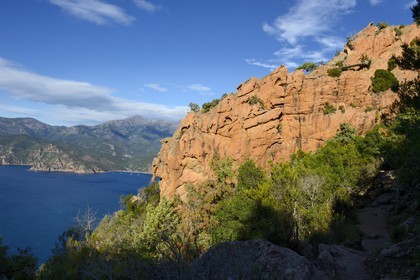 France, Corse du Sud, Golfe de Porto, listed as World Heritage by UNESCO,  the Creeks of Piana (Calanches de Piana) with pink granite rocks and the Bussaglia beach in the background