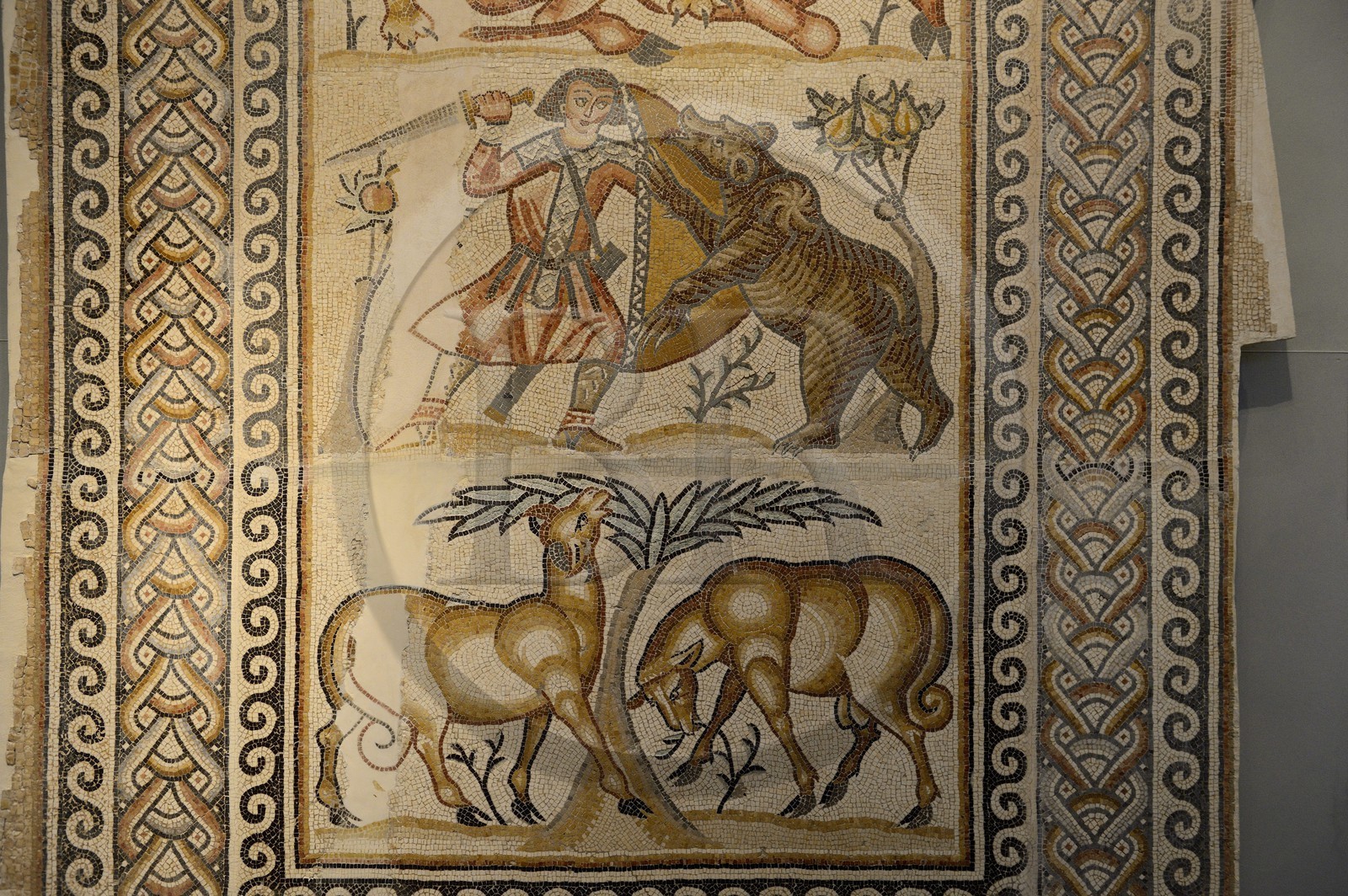 Israel, Jérusalem, quartier de Guivat Ram, musée d'Israel, departement d'archéologie, la salle 6 appelée La Terre Sainte, mosaïque de la nef de l'église de Kissoufim dans l'ouest du Néguev datée de 578