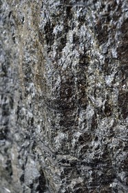 France, Moselle (57), Petite-Rosselle, le musée du carreau Wendel, bloc de charbon