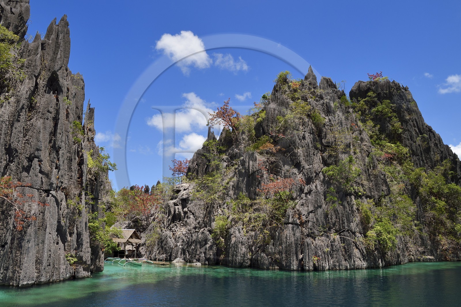 Philippines, Calamian Islands dans le nord de Palawan, Coron Island Natural Biotic Area, lagon et falaises de calcaire du Permien d'origine jurassique