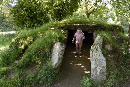 France, Finistère (29), parc naturel régional d'Armorique, Monts d'Arrée, Brennilis, le conteur Claude Le Lann explique la mythologie locale, les phénomènes energétiques et la puissance tellurique de certains sites, comme ici avec le dolmen de Ti Ar Boudiged (la maison des fées)