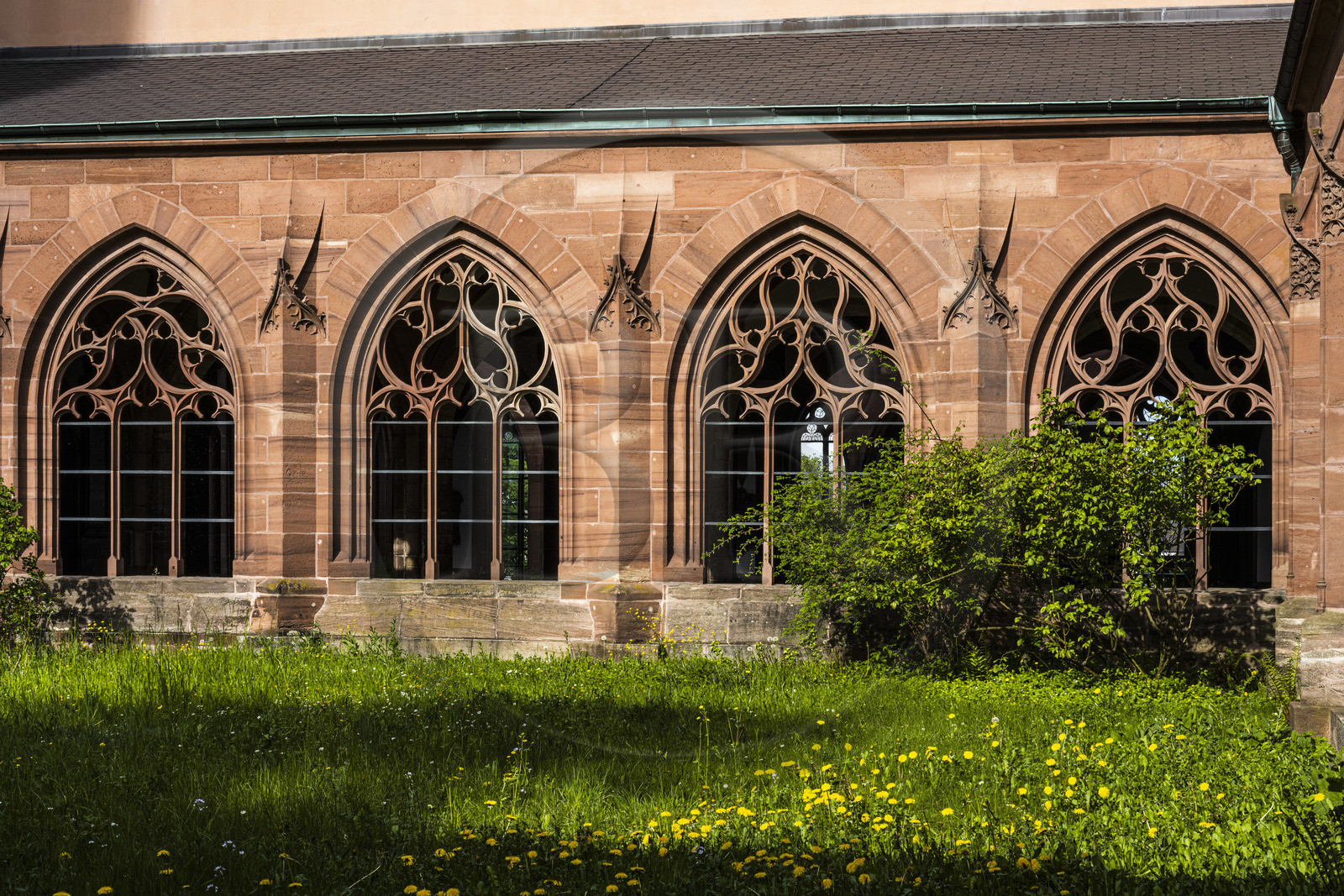 Switzerland, Basel, the Minster or Protestant Cathedral of Our Lady of Basel (Munster), the cloister