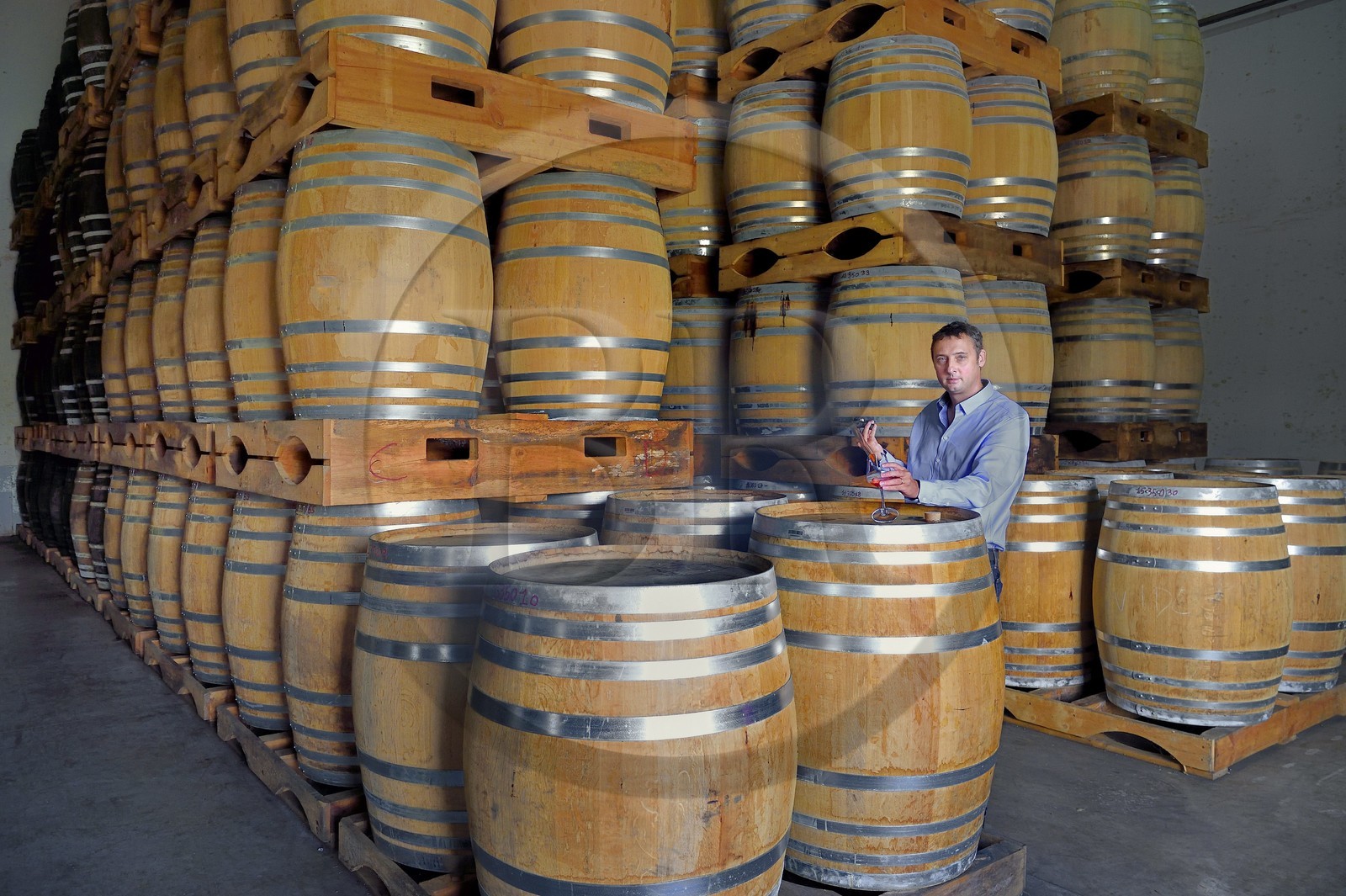 France, Reunion island (French overseas department), Saint Pierre, estate of the Isautier distillery, aging of old rums in the cellars between 6 and 14 months in new barrels then several years afterwards by batch in red barrels, Cyril Isautier director of the rums and punches branch of the Isautier group takes a sample with a pipette for tasting