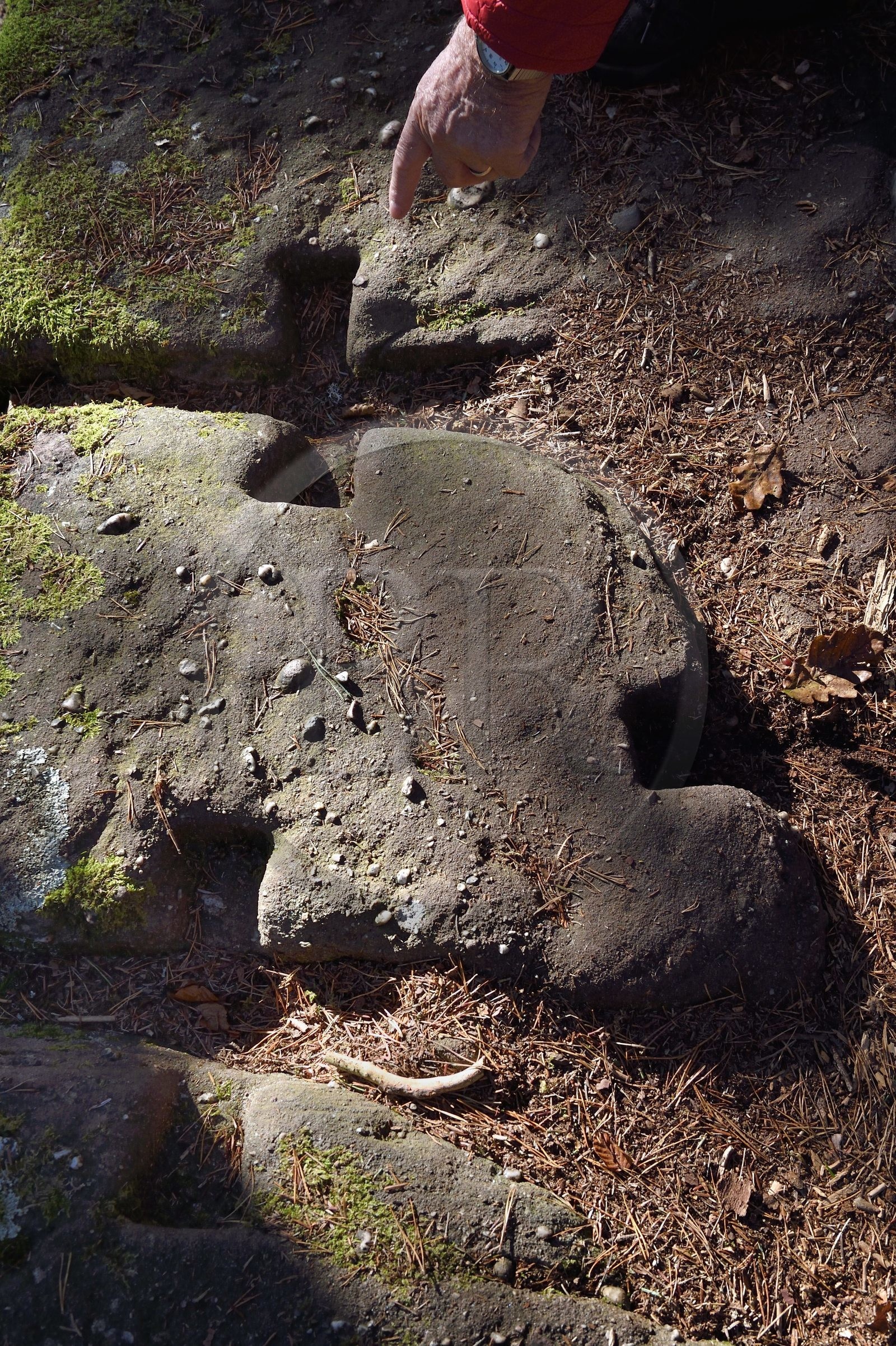 France, Bas-Rhin (67), Mont Saint-Odile, le Mur Païen, vestige d'un mur d'enceinte probablement de l'époque mérovingienne d'une longueur totale de onze kilomètres, construction en appareil cyclopéen aux blocs liés par des tenons en bois à double queue d'aronde