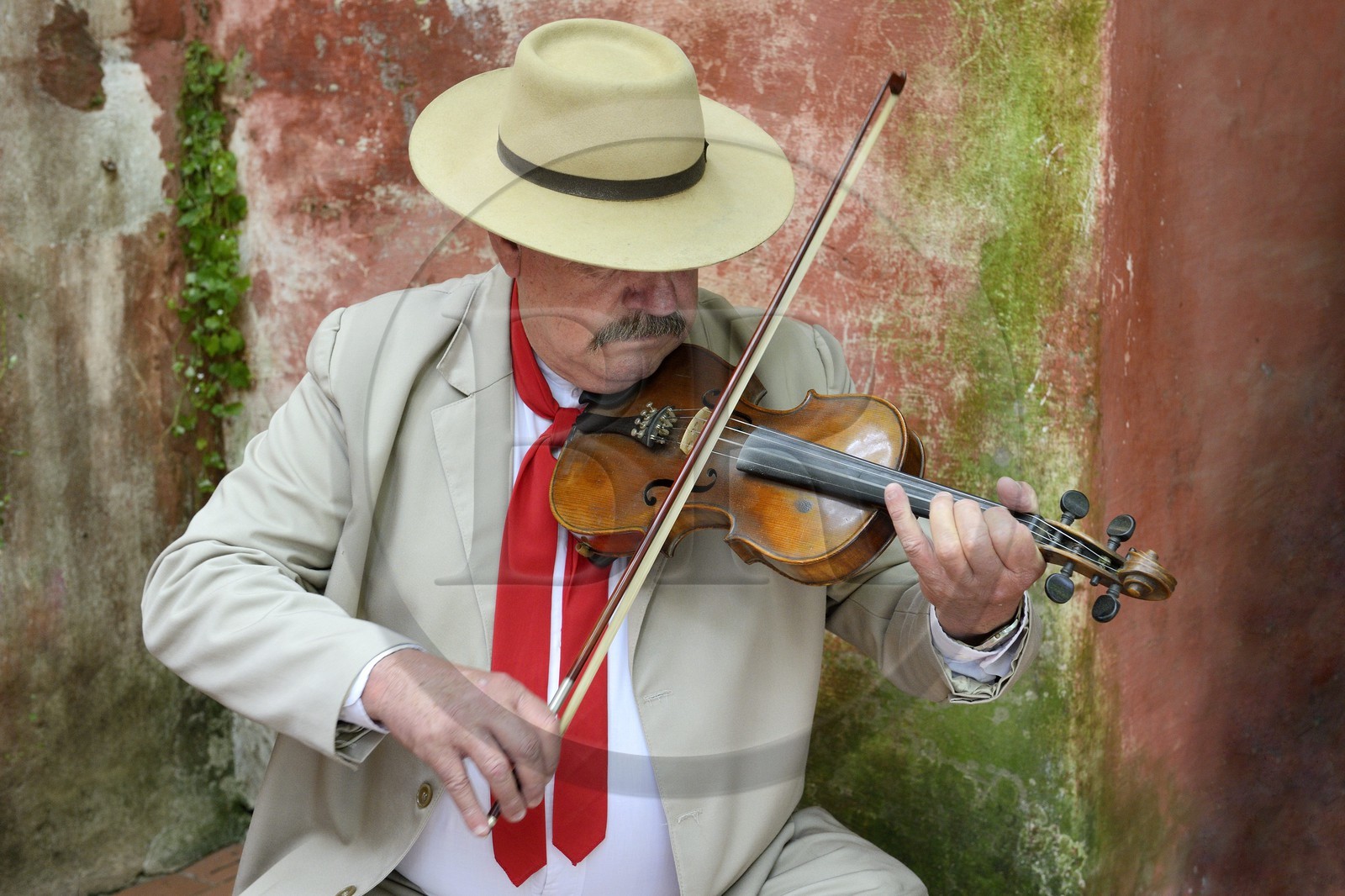 Argentina, Buenos Aires Province, San Antonio de Areco, Tradition Day festival (Dia de Tradicion), violinist