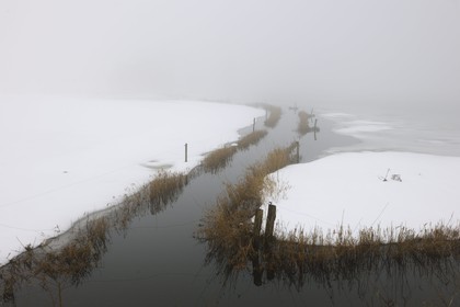 France, Manche (50), Cotentin, marais de la Douve vers Liesville-sur-Douve