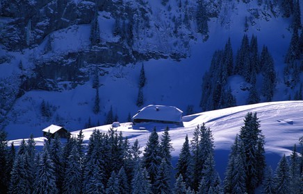 Suisse, région de Bern (Oberland Bernois), Saanenland, Gstaad, ferme sur les pistes de l' Eggli