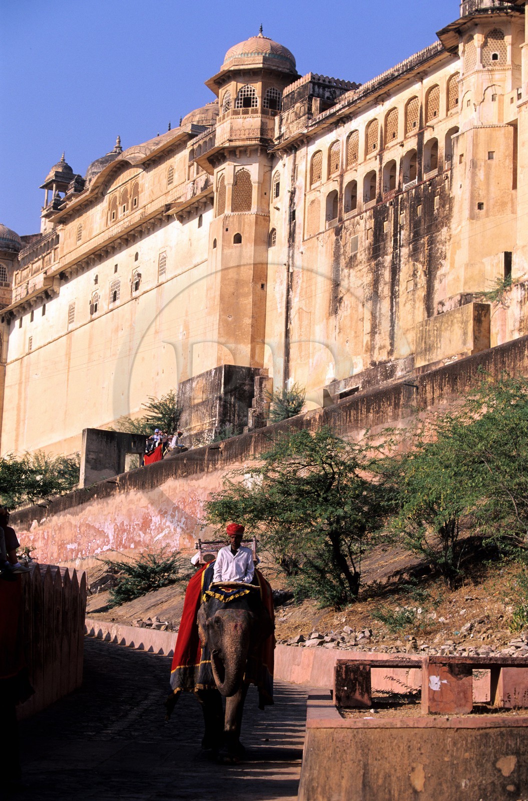Inde, état du Rajasthan, région de Jaipur, Amber Palace, éléphant descendant la rampe du Palais