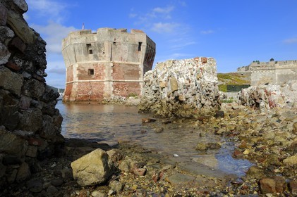Italie, Toscane, l’Ile d’Elbe, Portoferraio, la Tour Torre del Martello à l'entrée du vieux Port